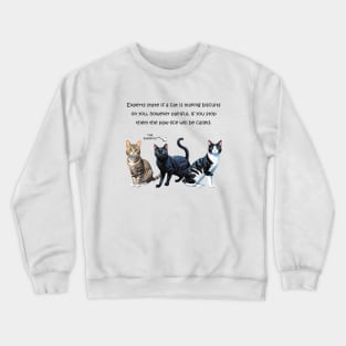 Experts state if a cat is making biscuits on you - funny watercolour cat design Crewneck Sweatshirt